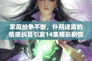 家庭纷争不断，扑朔迷离的情感纠葛引发14集精彩剧情 