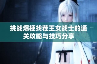 挑战爆梗找茬王女战士的通关攻略与技巧分享