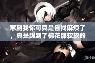 惹到我你可真是自找麻烦了，真是踢到了棉花那软软的地方