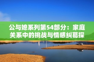 公与媳系列第54部分：家庭关系中的挑战与情感纠葛探讨