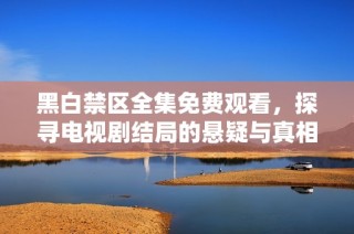 黑白禁区全集免费观看，探寻电视剧结局的悬疑与真相