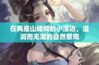 在两座山峰间的小溪边，湿润而无泥的自然景观