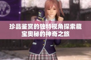 珍品鉴赏的独特视角探索藏宝奥秘的神奇之旅