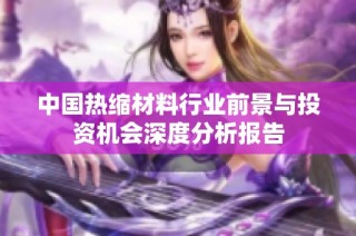 中国热缩材料行业前景与投资机会深度分析报告