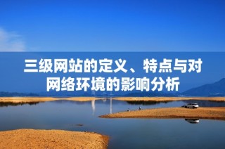 三级网站的定义、特点与对网络环境的影响分析