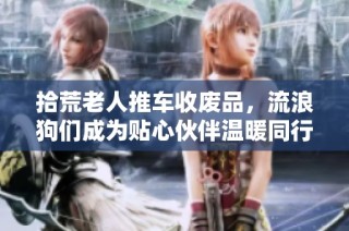 拾荒老人推车收废品，流浪狗们成为贴心伙伴温暖同行