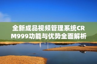 全新成品视频管理系统CRM999功能与优势全面解析