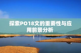 探索PO18文的重要性与应用前景分析 