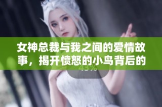 女神总裁与我之间的爱情故事，揭开愤怒的小鸟背后的社会现实与情感纠葛