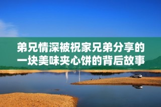 弟兄情深被祝家兄弟分享的一块美味夹心饼的背后故事