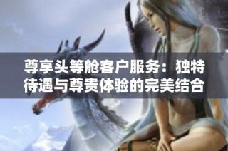 尊享头等舱客户服务：独特待遇与尊贵体验的完美结合
