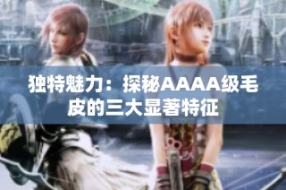 独特魅力：探秘AAAA级毛皮的三大显著特征