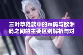 三叶草鞋款中的m码与欧洲码之间的主要区别解析与对比