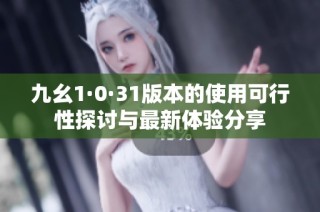 九幺1·0·31版本的使用可行性探讨与最新体验分享