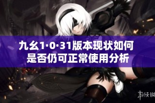 九幺1·0·31版本现状如何 是否仍可正常使用分析
