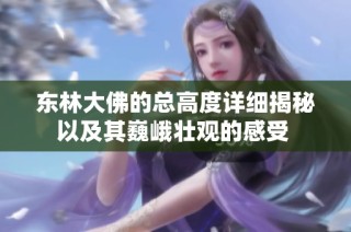 东林大佛的总高度详细揭秘以及其巍峨壮观的感受 