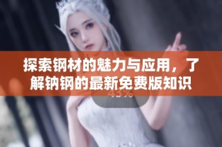 探索钢材的魅力与应用，了解钠钢的最新免费版知识
