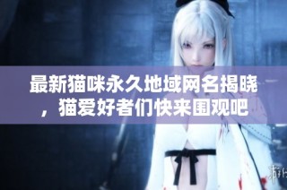 最新猫咪永久地域网名揭晓，猫爱好者们快来围观吧