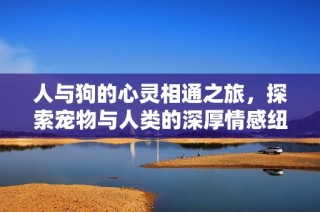 人与狗的心灵相通之旅，探索宠物与人类的深厚情感纽带