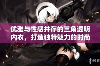 优雅与性感并存的三角透明内衣，打造独特魅力的时尚选择
