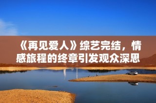《再见爱人》综艺完结，情感旅程的终章引发观众深思与共鸣