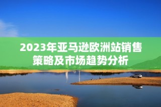 2023年亚马逊欧洲站销售策略及市场趋势分析