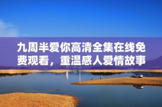 九周半爱你高清全集在线免费观看，重温感人爱情故事