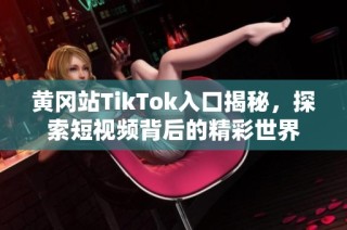 黄冈站TikTok入口揭秘，探索短视频背后的精彩世界