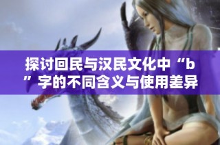 探讨回民与汉民文化中“b”字的不同含义与使用差异