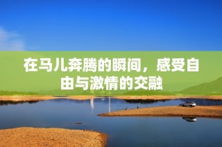 在马儿奔腾的瞬间，感受自由与激情的交融