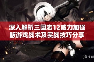 深入解析三国志12威力加强版游戏战术及实战技巧分享指南