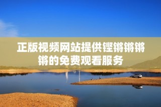 正版视频网站提供铿锵锵锵锵的免费观看服务