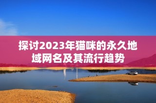 探讨2023年猫咪的永久地域网名及其流行趋势