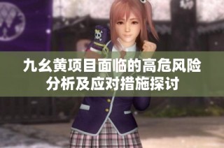 九幺黄项目面临的高危风险分析及应对措施探讨