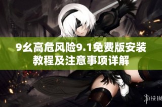 9幺高危风险9.1免费版安装教程及注意事项详解
