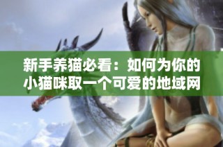新手养猫必看：如何为你的小猫咪取一个可爱的地域网名