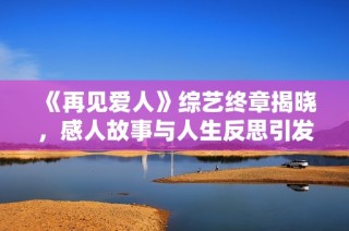 《再见爱人》综艺终章揭晓，感人故事与人生反思引发热议