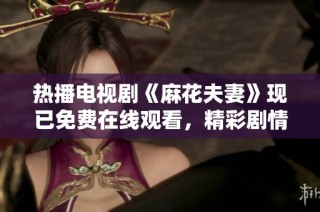 热播电视剧《麻花夫妻》现已免费在线观看，精彩剧情不容错过