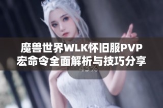 魔兽世界WLK怀旧服PVP宏命令全面解析与技巧分享攻略