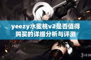 yeezy水蜜桃v2是否值得购买的详细分析与评测