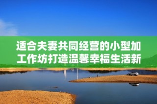 适合夫妻共同经营的小型加工作坊打造温馨幸福生活新篇章