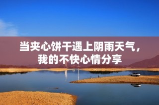 当夹心饼干遇上阴雨天气，我的不快心情分享