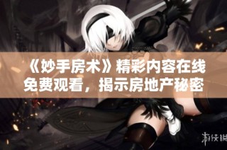 《妙手房术》精彩内容在线免费观看，揭示房地产秘密与技巧