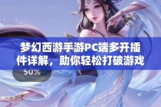 梦幻西游手游PC端多开插件详解，助你轻松打破游戏时空界限