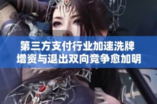 第三方支付行业加速洗牌 增资与退出双向竞争愈加明显