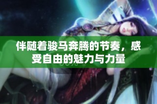 伴随着骏马奔腾的节奏，感受自由的魅力与力量