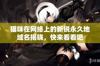猫咪在网络上的新锐永久地域名揭晓，快来看看吧