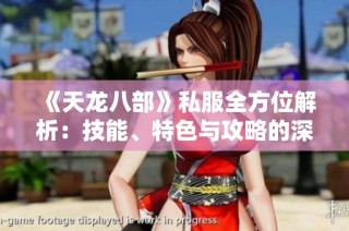 《天龙八部》私服全方位解析：技能、特色与攻略的深入探讨