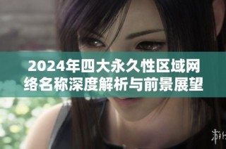 2024年四大永久性区域网络名称深度解析与前景展望