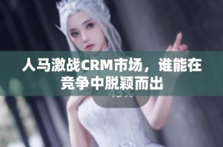 人马激战CRM市场，谁能在竞争中脱颖而出